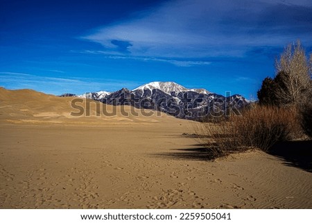 This is a photo of the Sand Dunes in Southern Colorado.