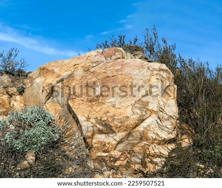 Sedimentary rock in Aldergate park, Menifee, California, USA