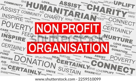 Non-profit organization word cloud concept on white background