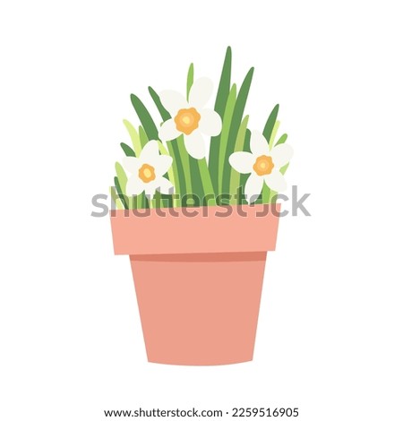 Daffodil. Narcissus flower in a pot. Spring plant in flower pot. Cartoon flat vector illustration.