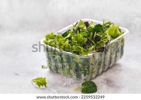 Fresh mixed salad leaves  in  plastic container  on rustic background. Selective focus,  blank space Royalty-Free Stock Photo #2259532249