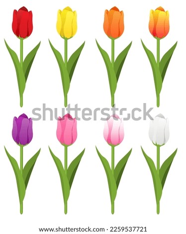 Vector image of tulips. Beautiful spring flowers.  A bright design element. Valentine's Day, March 8, Mother's Day