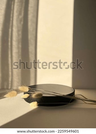 Beige scene for product presentation, black podium with copy space.Natural pedestal with a cottonweed shadow. Front view, studio photography.Trendy sunlight.
