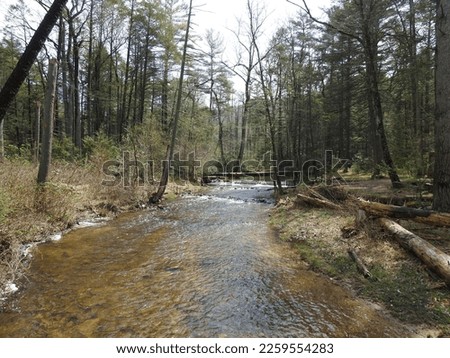 The beautiful scenery of Conococheague Creek that runs through Caledonia State Park, in Fayetteville, Pennsylvania.