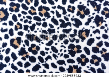 Leopard skin texture. The concept of natural textures. Macro photography, selective focus, horizontal photo. Kyiv, Kiev, Ukraine, Europe.