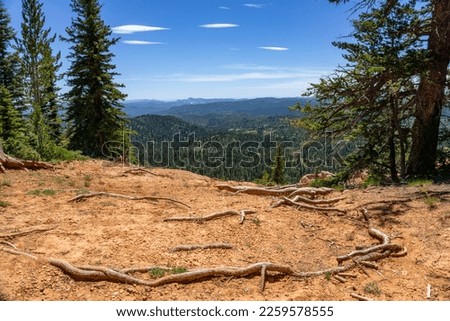 Hiking the scenic Cascade Falls Trail to see the waterfall at the end in the Dixie National Forest, Utah. A beautiful view of vast valleys filled with green pine trees and distant blue mountains. Royalty-Free Stock Photo #2259578555