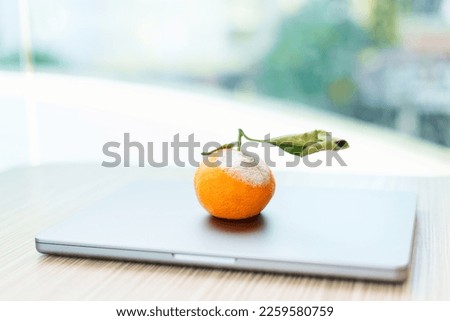 Rotten orange with mold on a closed laptop surface on a table lit with natural light