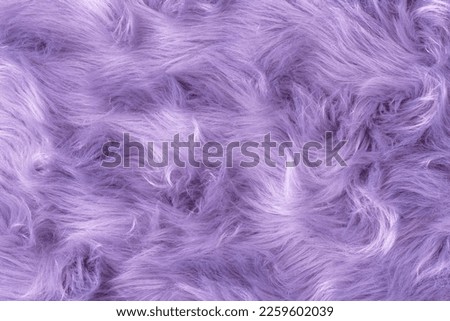 Purple fur texture top view. Purple or lilac sheepskin background. Fur pattern. Texture of lilac shaggy fur. Wool texture. Sheep fur close up
