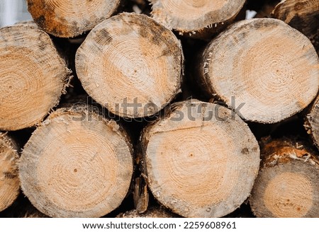 Background, texture of pine, coniferous logs, sawn trees in a row. Photography, harvesting for the winter, a wall in nature.