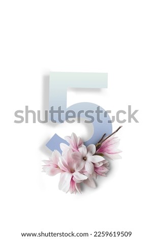 Numbers on a white background with magnolia flowers
