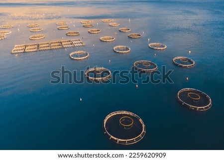 Aerial drone top view of sea fish farm cages and fishing nets, farming dorado, sea bream and sea bass, feeding the fish a forage, with marine landscape and mountains in the background, Adriatic sea Royalty-Free Stock Photo #2259620909