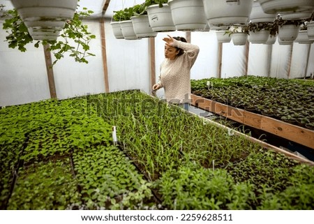 gardening. Girl working in a greenhouse woman growing seedlings