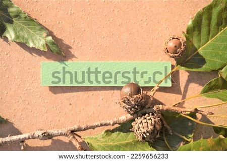 Mockup of title frame of green elongated card with warm colored tile background with leaves and branches with acorns