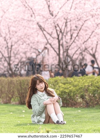 Outdoor portrait of beautiful young Chinese girl in Japanese JK style dress sitting with blossom cherry tree brunch background in spring garden, beauty, summer, emotion, expression and people concept.
