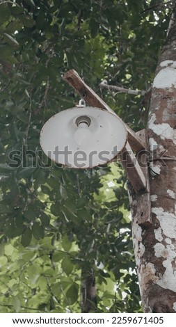 photo from under the lamp and its pole tied to the tree with outdoor light.  selective focus