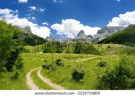 Scenic landscape of mountain valley in european Alps.Road goes into the distance.Stunning view of mountains and valleys in sunset. Hiking and tracking concept. Hike passing Bukumirsko Lake, Montenegro Royalty-Free Stock Photo #2259710809
