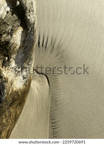 This photo was taken in the Dominican Republic. The driftwood, sand, and the waves of the ocean crashing under, over, and around the driftwood created this design in the sand.
