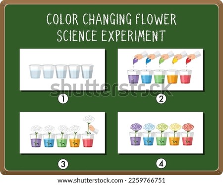 Color changing flowers science experiment illustration