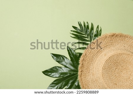 Concept of summertime, leaves, summer and nature concept