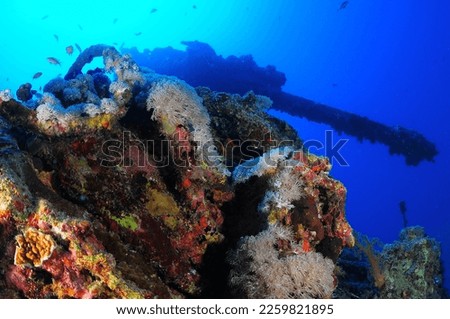 under water wreck SS Thistlegorm Royalty-Free Stock Photo #2259821895