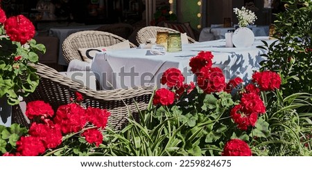 Summer cafe and restaurant on an open terrace with red flowers. Without people
