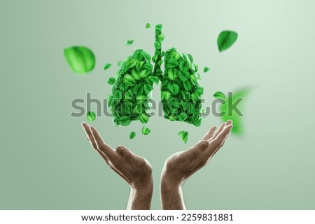 Image human lungs made of green leaves on and hands, air pollution, fresh breath, CO2, modern design, magazine style. Copy space Royalty-Free Stock Photo #2259831881