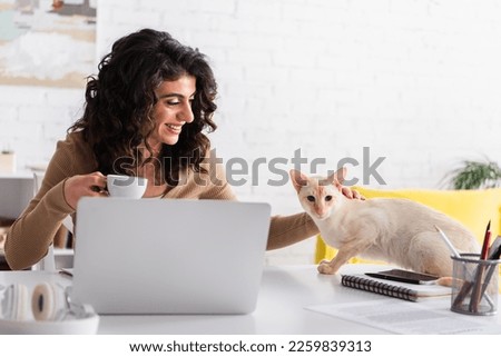Cheerful copywriter holding coffee and petting oriental cat near laptop at home