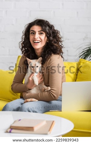 Positive copywriter holding oriental cat near blurred books and laptop on couch