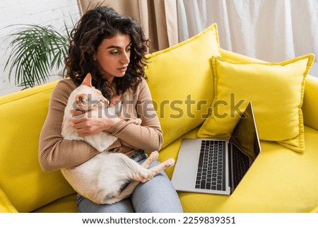 Curly freelancer holding oriental cat and looking at laptop with blank screen on couch