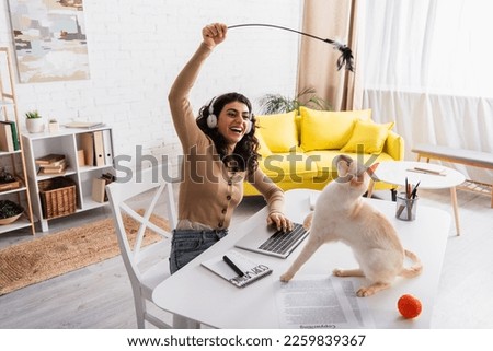 Smiling freelancer in headphones playing with oriental cat near papers and laptop at home Royalty-Free Stock Photo #2259839367