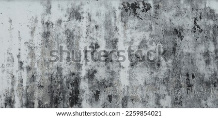 old white concrete wall with stain of dirty with mold  Royalty-Free Stock Photo #2259854021