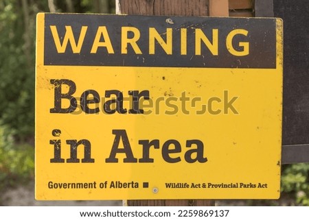 Yellow and black warning sign for hikers that a bear is spotted in the area, and hikers need to be careful