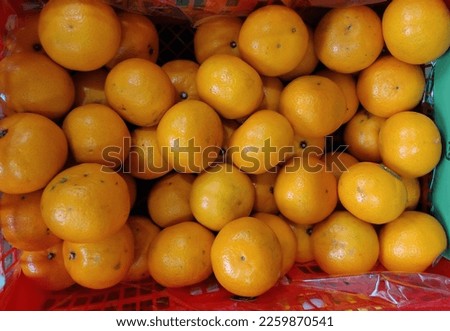 fresh citrus fruits in a basket