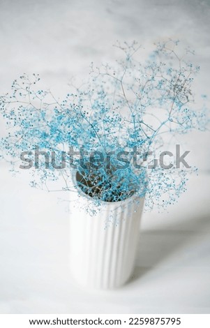 Bouquet of delicate airy blue dried flowers in a white vase on a gray background. Image for posters and paintings in the interior. Light calm photo.
