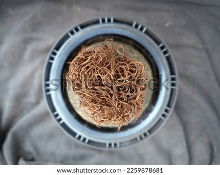 Photo of dried fruit which is fibrous like a wig, uncombed curly hair placed on a softball around yard