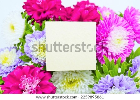 Ornate title frame mockup with colorful aster flowers background