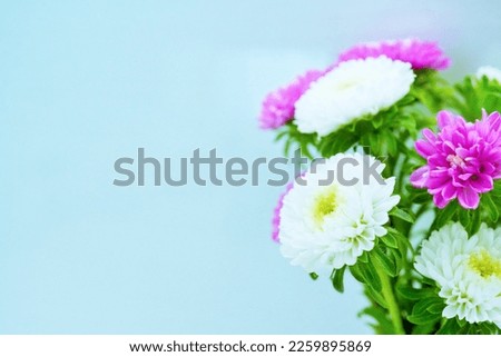 Close-up of a bouquet of pink and white asters