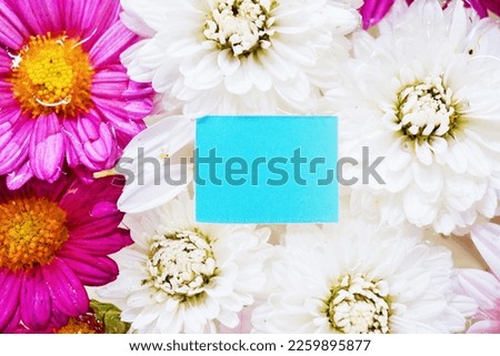 Title space mockup with white spray mum floating flowers in background