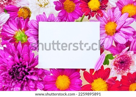 Cool title frame mockup with red chrysanthemum flowers floating in the water