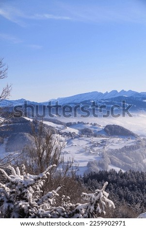 Swiss alpine village on a hill with foggy mountains in the background in the winter