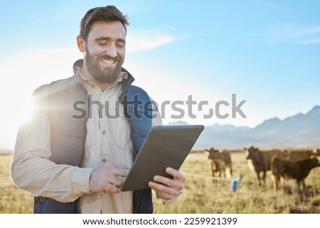 Smile, cow agriculture or man with tablet on farm for sustainability, production or industry growth research. Agro, happy or farmer on countryside field for dairy stock, animals or food checklist