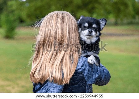 A blonde girl from behind holding a black Chihuahua dog