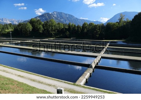 Trout farm in Austrian Alps. Fish farming in concrete ponds near Klagenfurt in Carinthia.