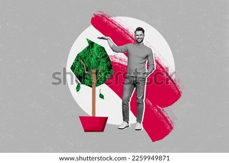 Creative picture artwork collage photo poster magazine of positive man showing length home interior tree isolated on painted background