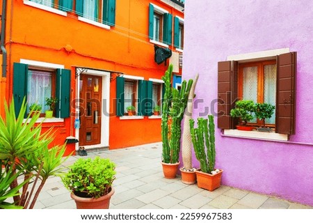 Colorful architecture in Burano island, Venice, Italy. Cozy courtyard with flowers. Royalty-Free Stock Photo #2259967583