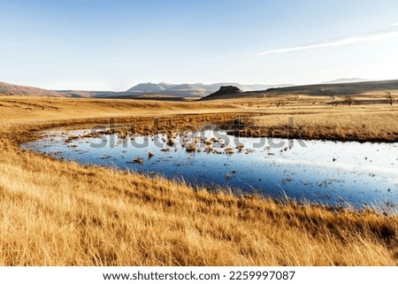 Beautiful scenery of Eastern Cape landscape under the clear blue sky, South Africa Royalty-Free Stock Photo #2259997087
