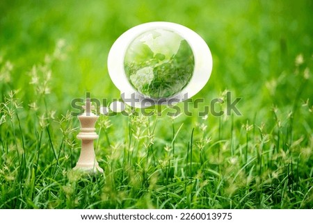 White king chess in green grass nature background thinking of Natural green Earth,  Leader with sustainable development goal for better green world concept and Earth Day idea