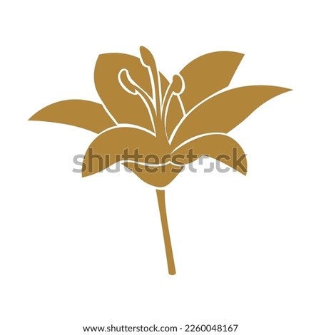 Golden lily flower on white background