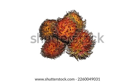 Rambutan Fresh Fruits on White Background