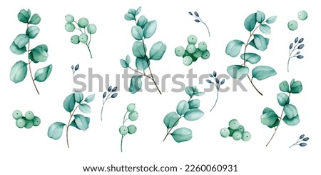 Eucalyptus and berries. Big set of watercolor elements. Collection of botanical illustrations for the design of invitations, cards, congratulations, logos, labels, stationery. Wedding, birthday design